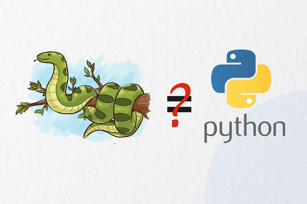 পাইথন সাপ বনাম Python Programming: এক প্রাণী, অন্যটি ভবিষ্যৎ গড়ার ...